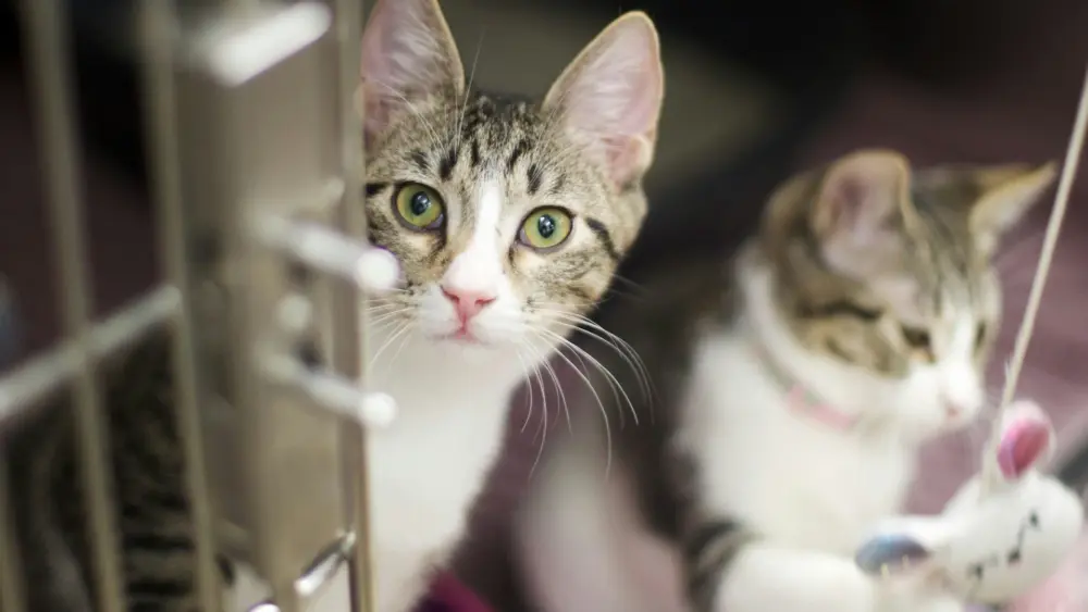 Photo by Eleni Trapp on Unsplash