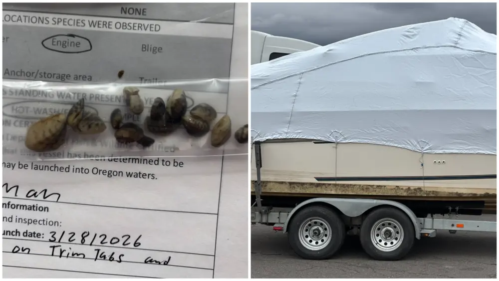 Photo credit: Oregon Department of Fish and Wildlife