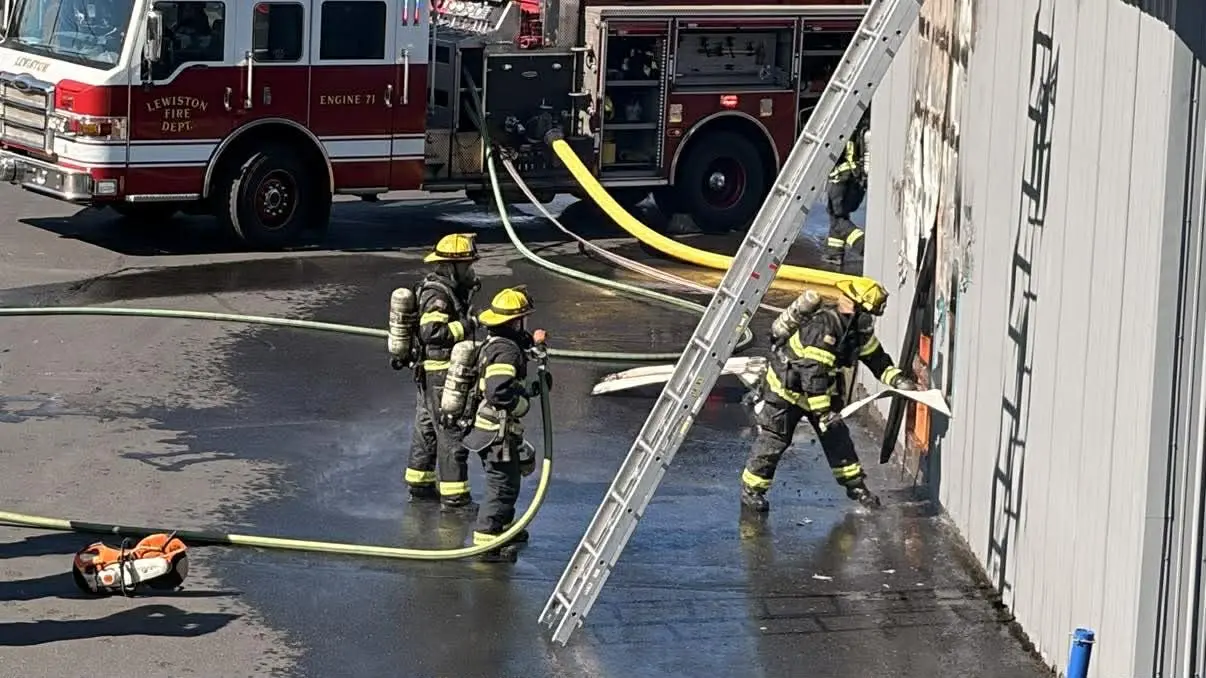 - Victoria Johnson Dailyfly Media