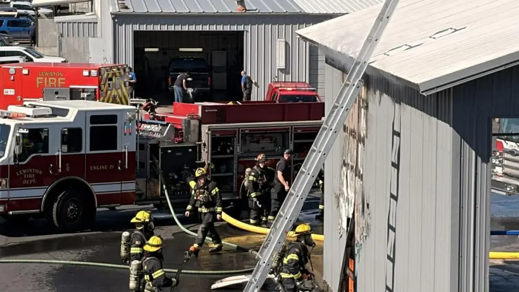 - Victoria Johnson Dailyfly Media