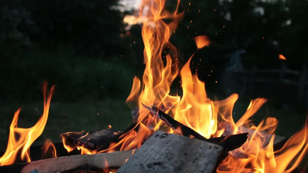 Photo by Lynn Fae on Unsplash