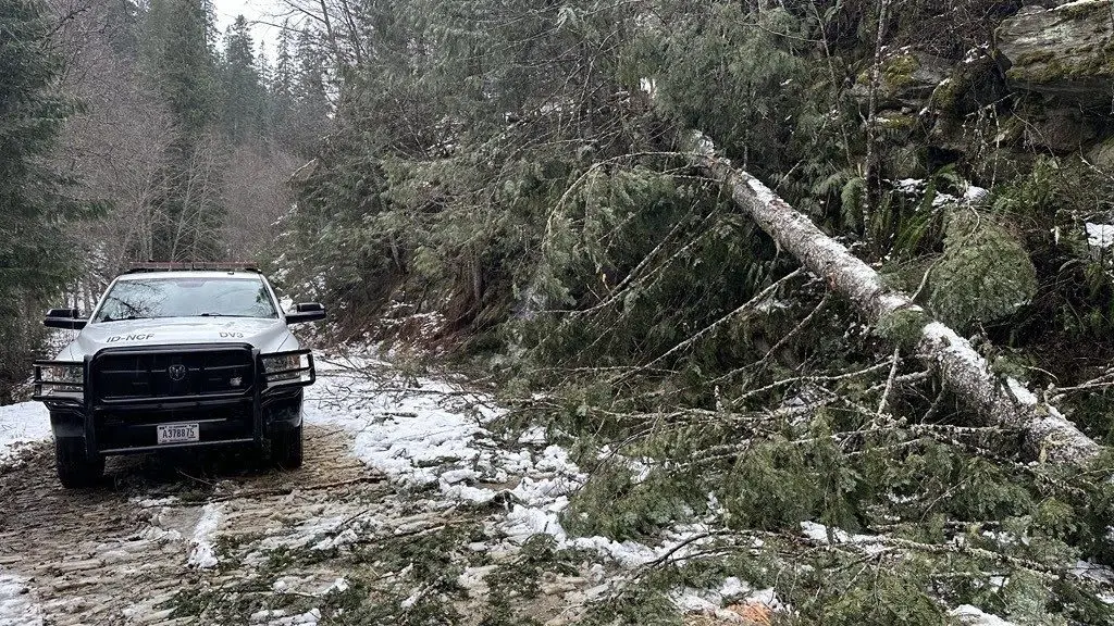 Photo credit: Nez Perce-Clearwater National Forests staff clearing blowdown and slides near Skull Creek.