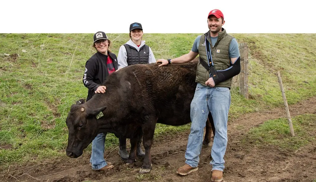 Laurin Ogg, Naomi Turner, and Ryan Goodman (left–right) pose for a photo with a Wagyu beef cow (photo courtesy of Scott Weybright, CAHNRS).
