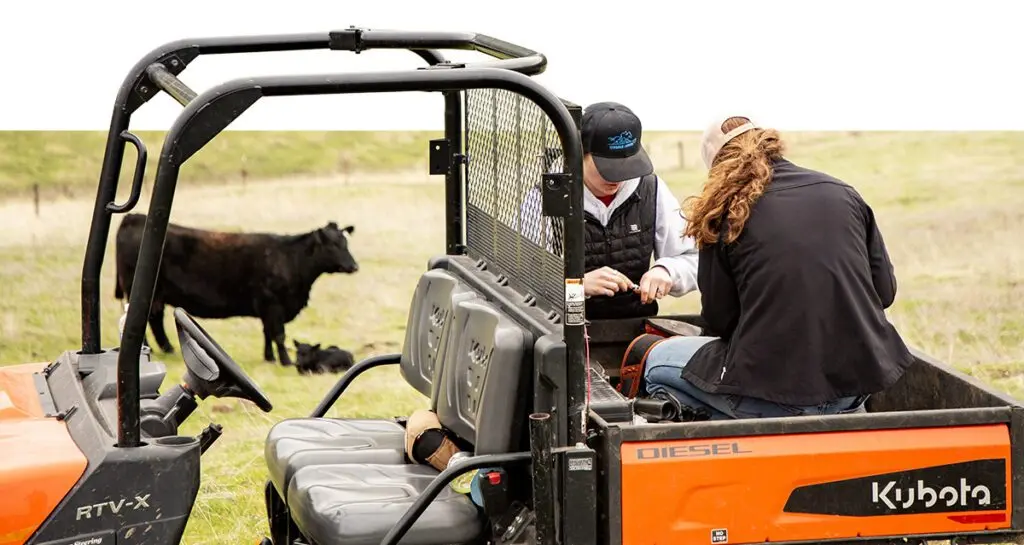 Laurin Ogg and Naomi Turner complete processing work after a cow gives birth (photo courtesy of Scott Weybright, CAHNRS).