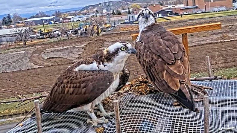 Photo credit: Idaho Fish and Game