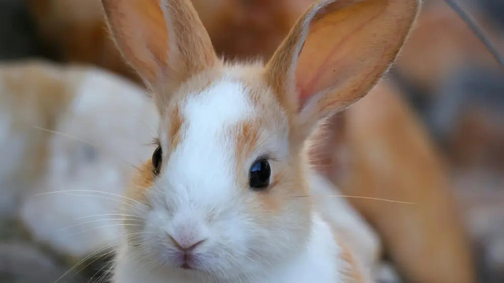 Photo by Nathan Mateus on Unsplash