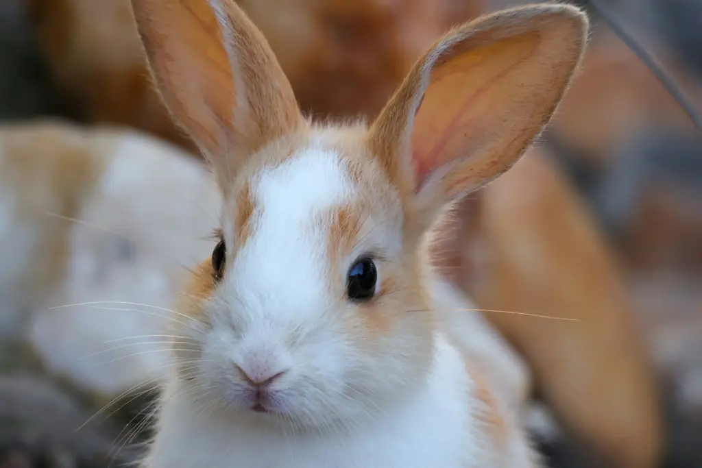 Photo by Nathan Mateus on Unsplash