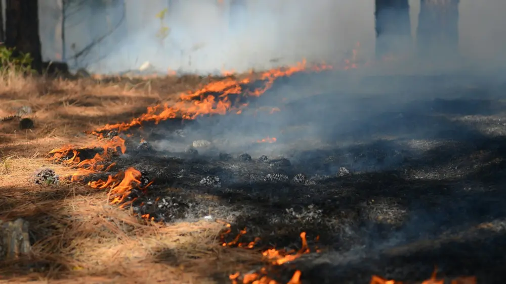 Photo by Emma Renly on Unsplash