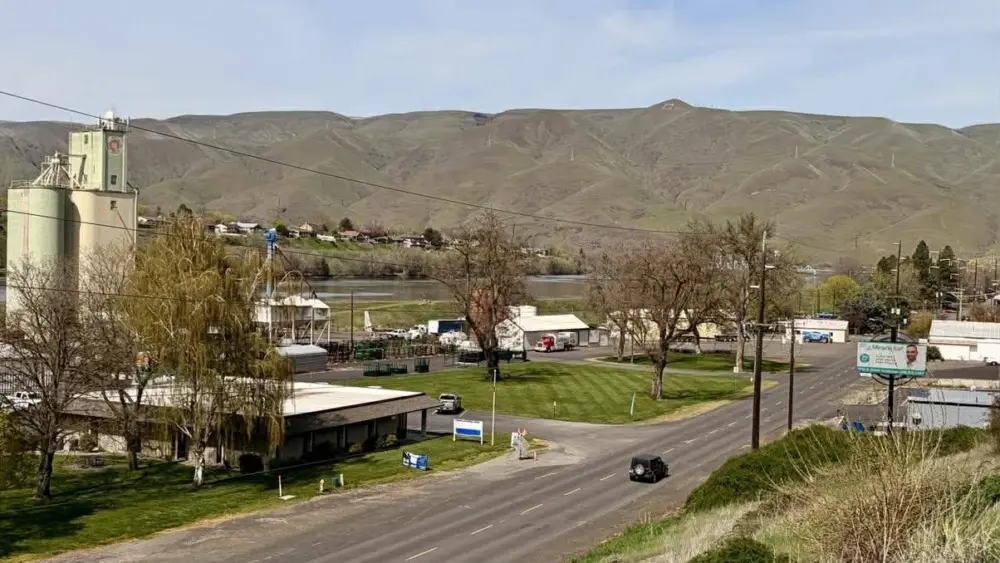 - Victoria Johnson Dailyfly Media