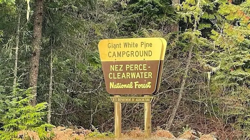 - Victoria Johnson Dailyfly Media