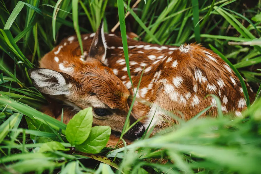 Photo by Erika Fletcher on Unsplash