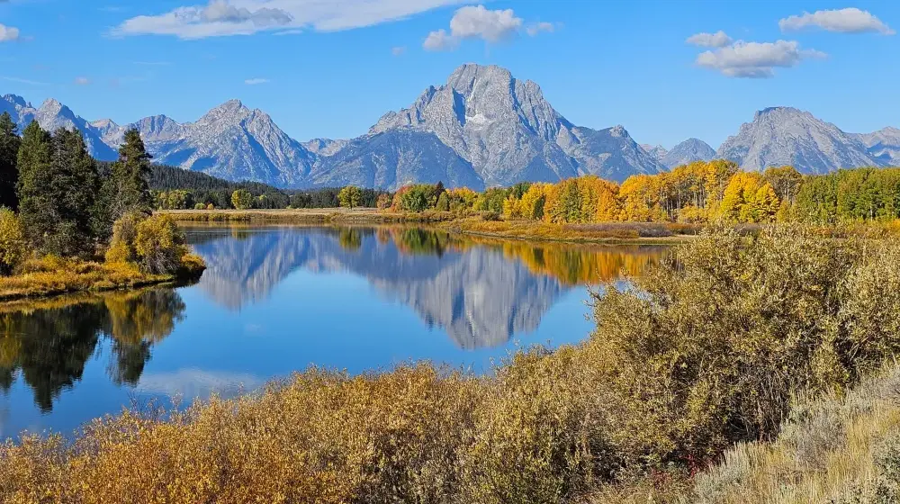 Wyoming’s Mount Moran’s reflection ripples across the waters of Oxbow Bend on a crisp fall day in 2025. (Photo by Rebecca Huntington/WyoFile)