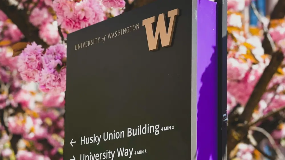 Photo by Celine Lityo on Unsplash