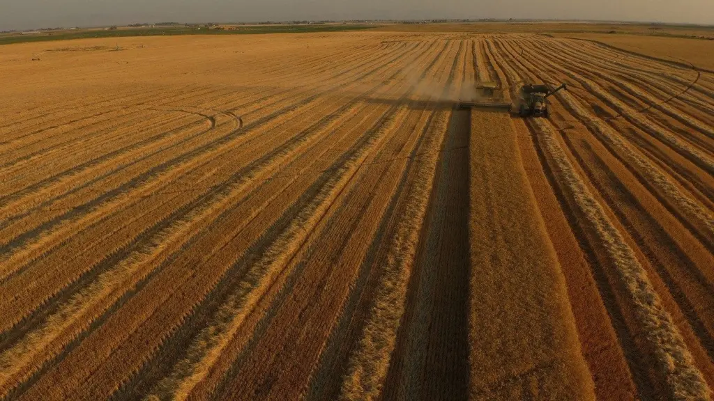 Wheat is harvested in eastern Idaho. Photo credit: Bill Schaefer, University of Idaho