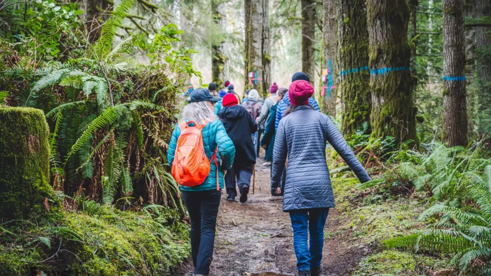 Members of the Elwha Legacy Forests Coalition walk on a trail near the state-managed Sadie Creek Campground near the Northern Olympic Coast. (Photo by Scott McGee/Elwha Legacy Forests Coalition)