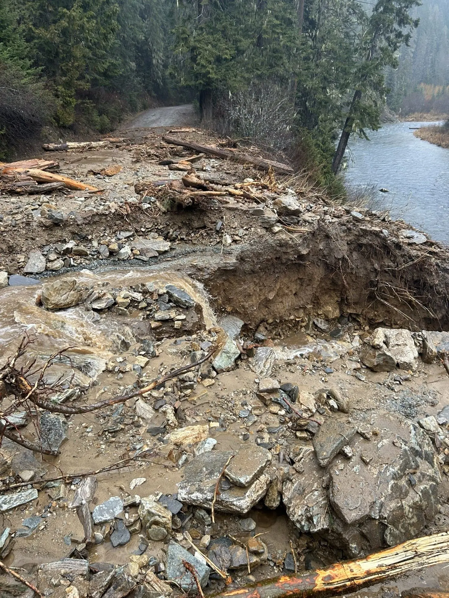 Significant blowdown on the 250 Road at Black Canyon
