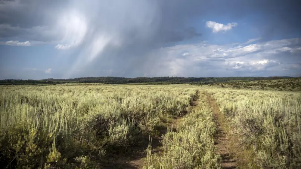 The piece of Idaho state land known as the Driggs 160 parcel is primarily sagebrush and grassland, with views of the Tetons to the southeast. (Photo by Bradly J. Boner/Jackson Hole News&Guide)