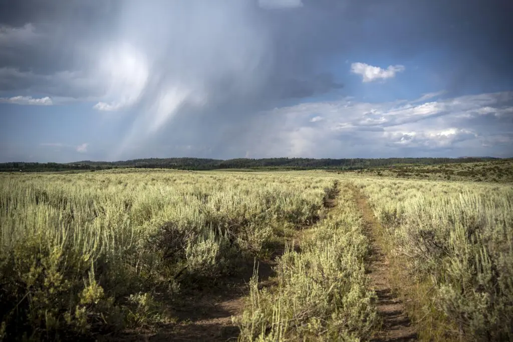 The piece of Idaho state land known as the Driggs 160 parcel is primarily sagebrush and grassland, with views of the Tetons to the southeast. (Photo by Bradly J. Boner/Jackson Hole News&Guide)