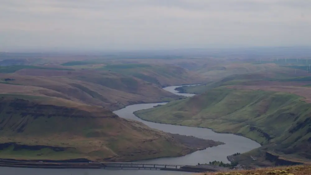 The Columbia River Gorge as seen from above on May 8, 2026, near Pushpum, a site sacred to the Yakama Nation. (Photo by Alex Baumhardt/Oregon Capital Chronicle)