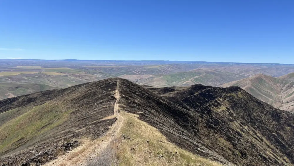 Photo Credit: Northeast Washington information