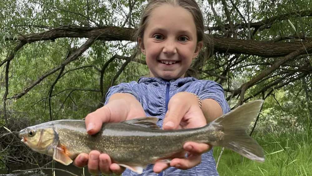 Akeley Fahnholz of Carmen holds the 11.25-inch chiselmouth she caught June 8 on the Salmon River near Salmon, setting a new Idaho state catch-and-release record for the species. Photo credit: Photo courtesy of Idaho Fish and Game.