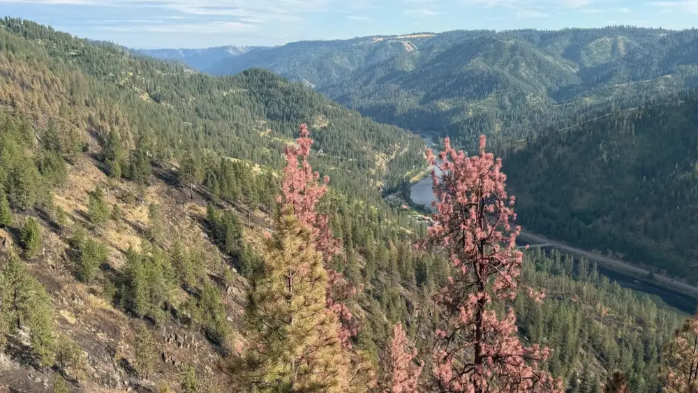 Photo courtesy of the Idaho Department of Lands.