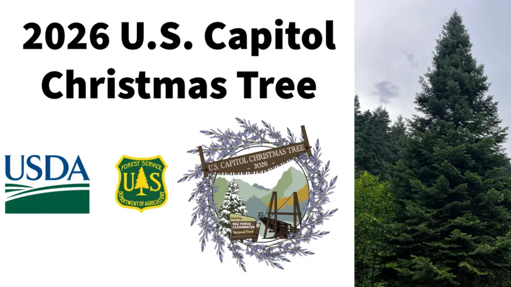 Photo courtesy of the U.S. Forest Service – Nez Perce-Clearwater National Forests.