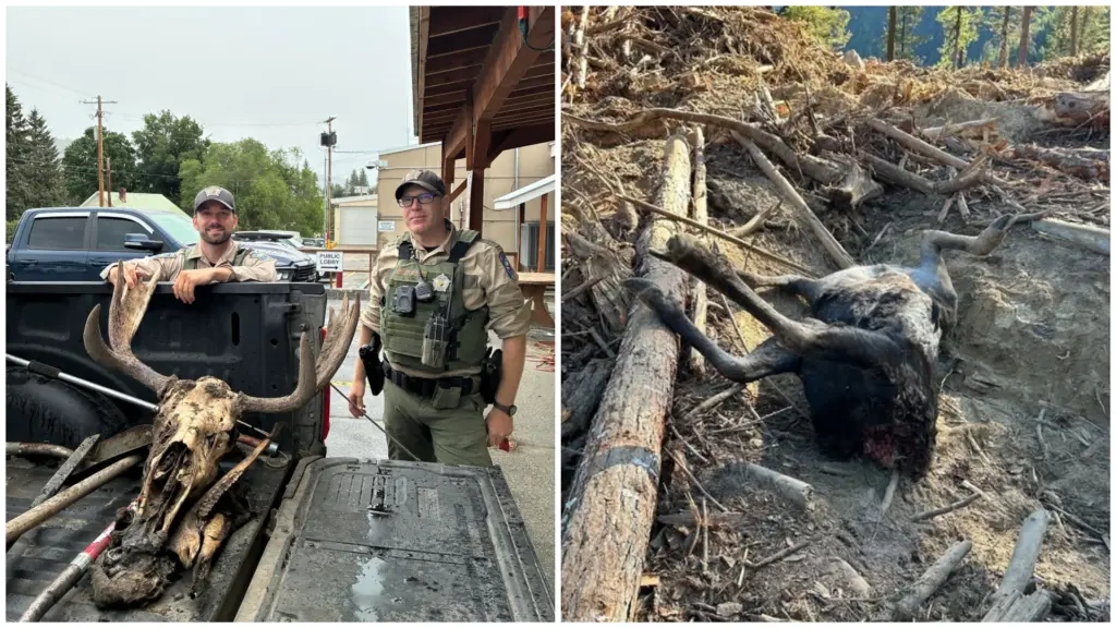 Photo courtesy of Washington Department of Fish and Wildlife Police.