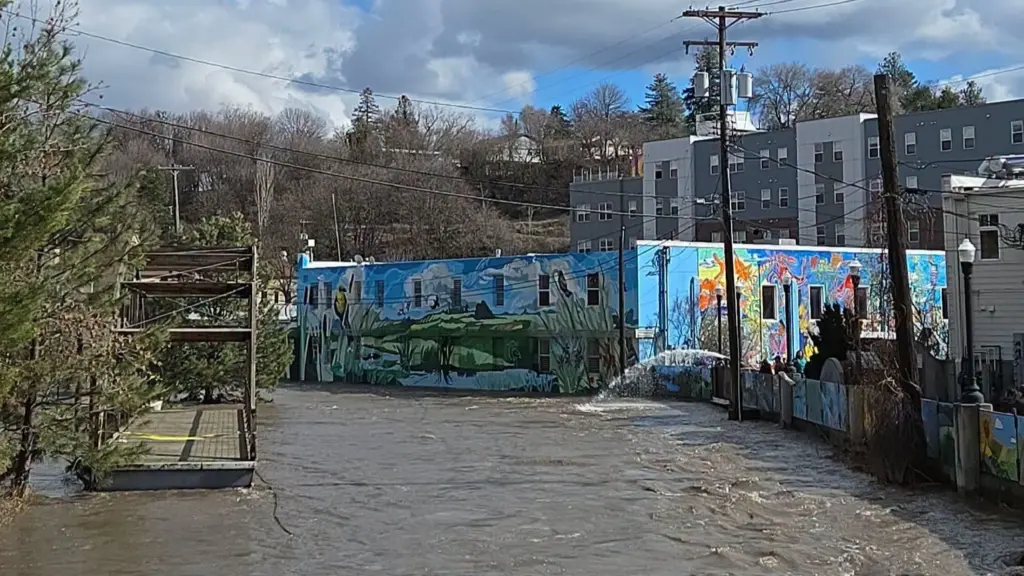 Pine Street Pedestrian Bridge To Be Reset By The End Of The Year