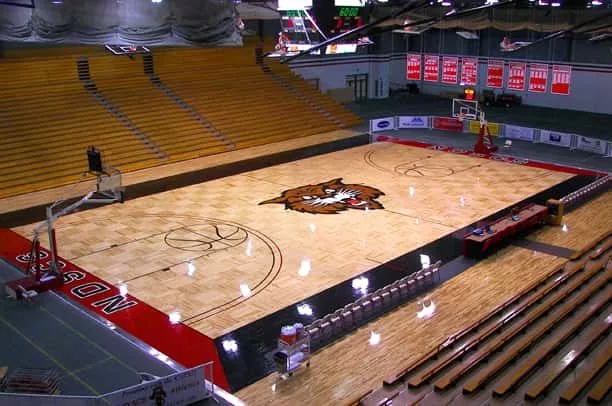 ndscs-arena