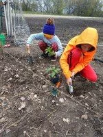 4h-garden-ndsu-jpeg