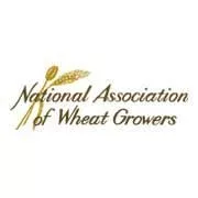 nawg-logo-jpg