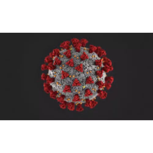 covid-virus-500-x-500-png-7