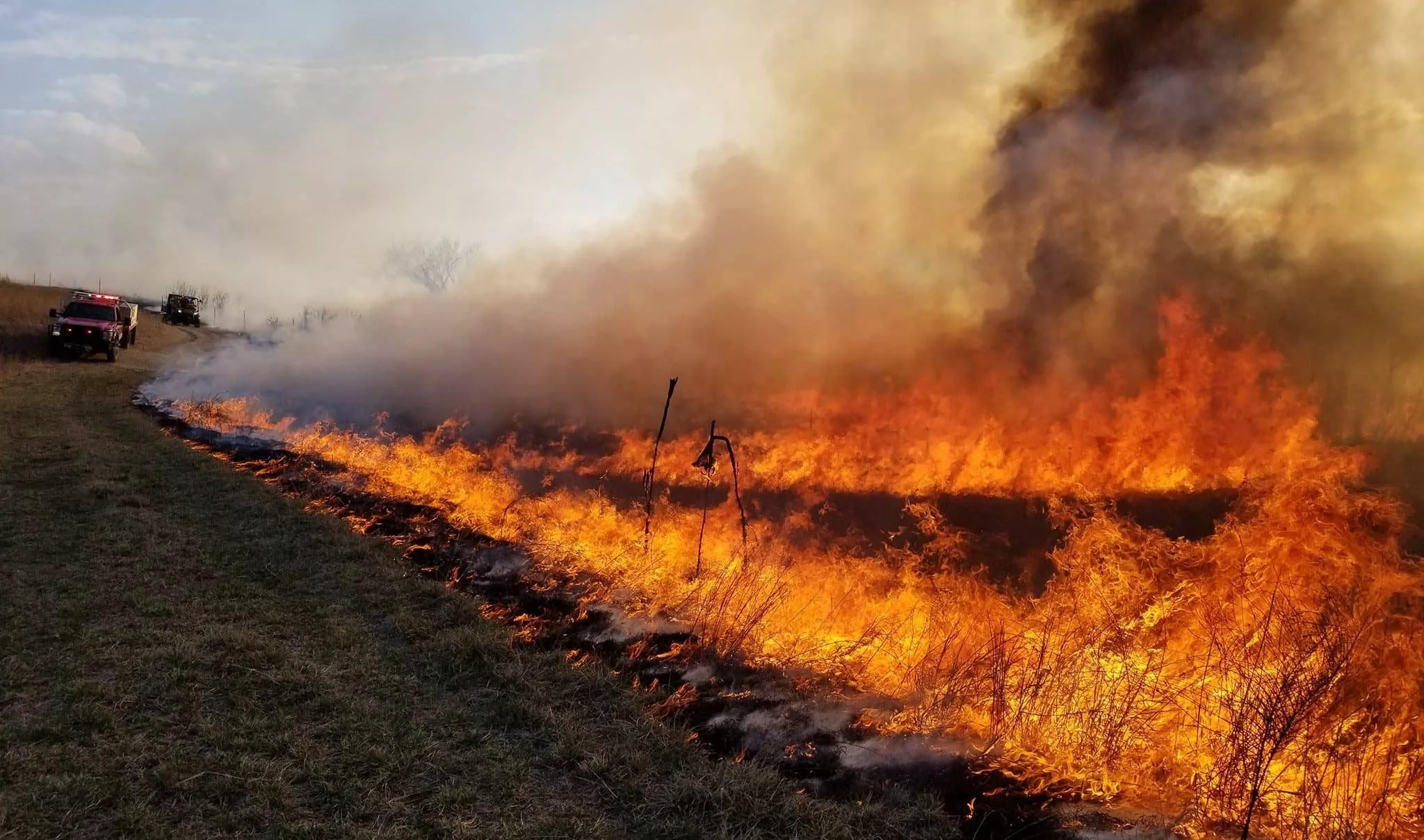 fire-emergency