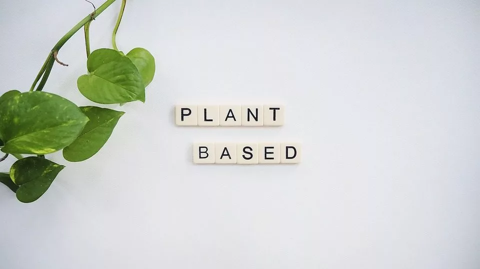 plant-based-4235884_960_720-jpg