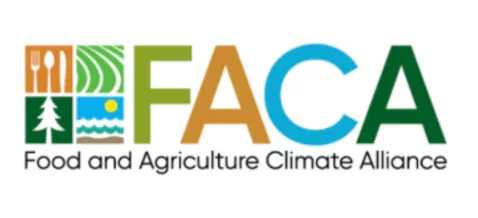 faca-png