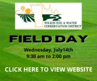 field-day