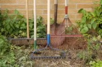 lawn-tools-5064764