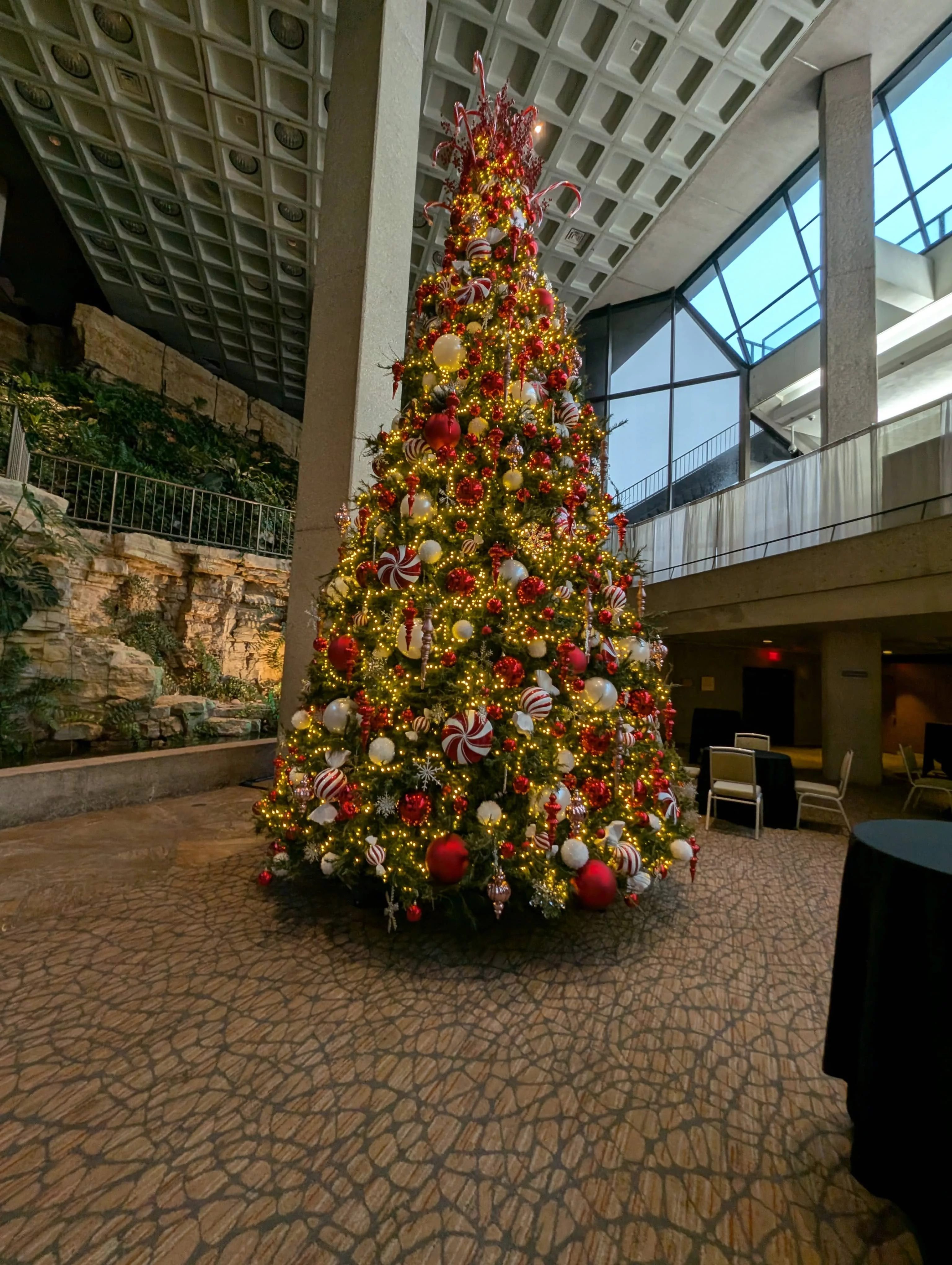 pxl_20241113_145813302