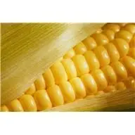 corn-two