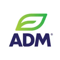 untitled-design-6-png-2