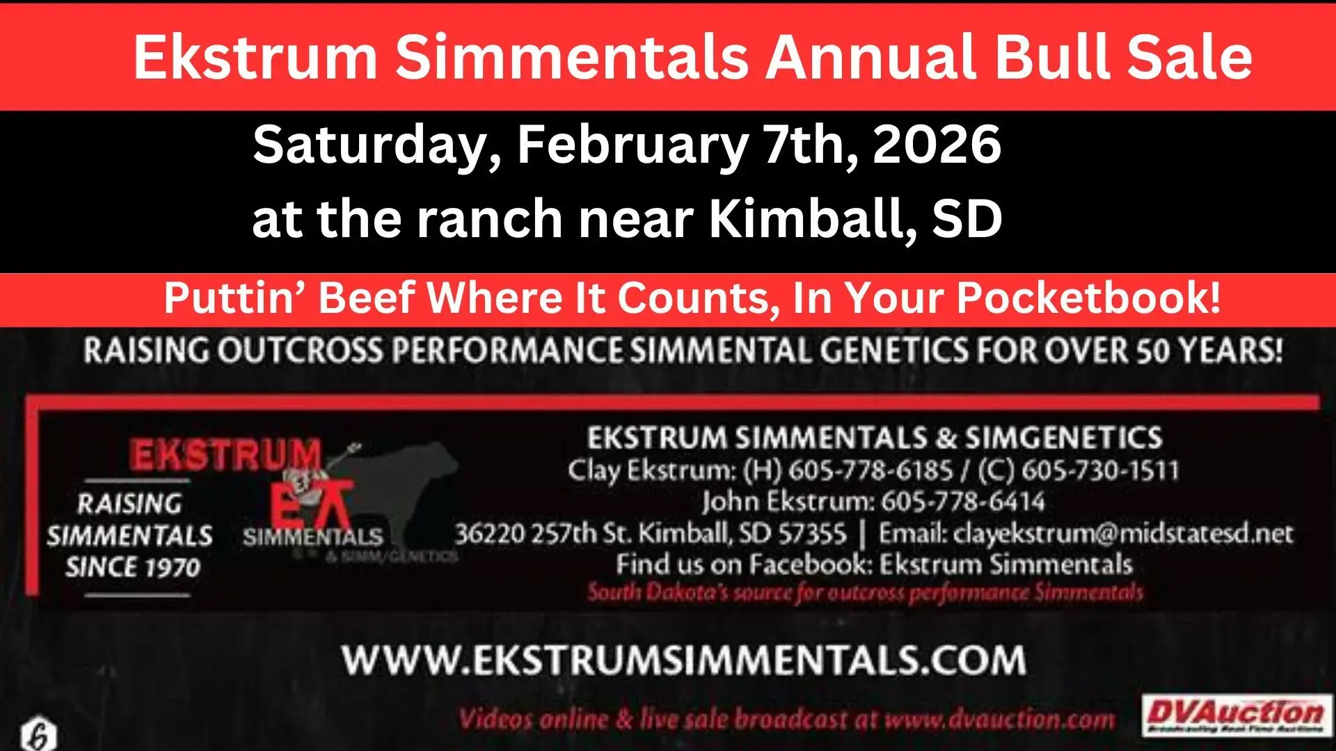 ekstrum-simmentals-first-ad-jpg-2