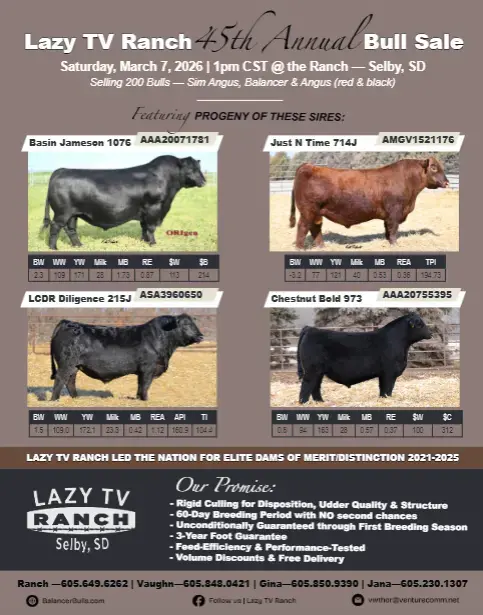 screenshot-2025-12-15-142130-png-2