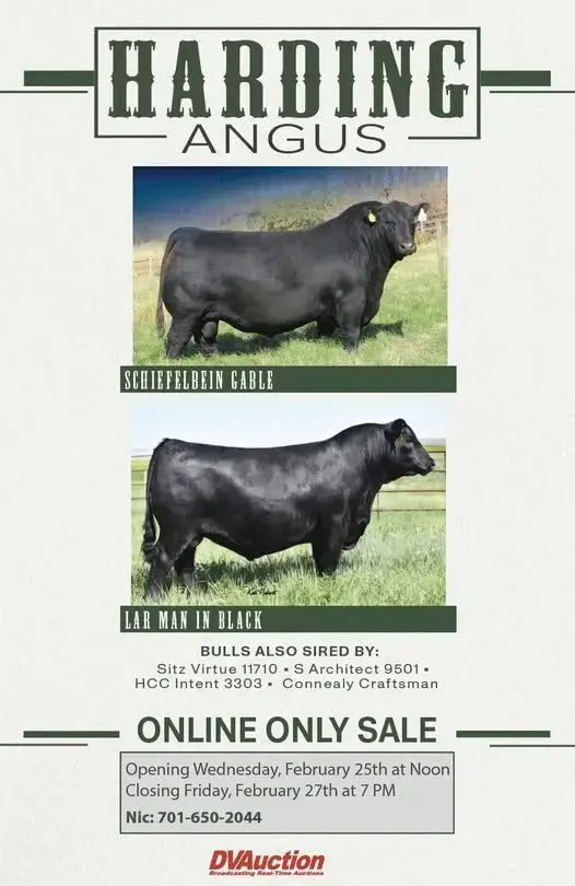 593540450_10173097458400164_186989075549196668_n-1-jpg