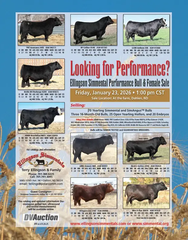 screenshot-2025-12-15-142928-png-2