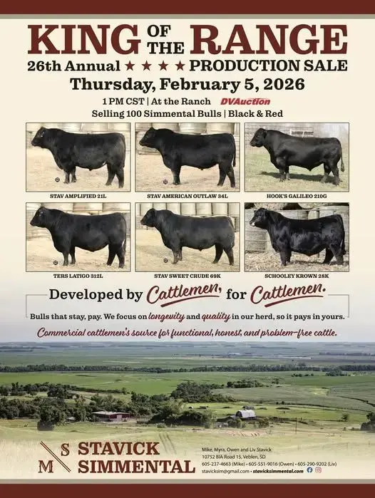 597584829_1183144527335172_3337284738720047147_n-jpg-2