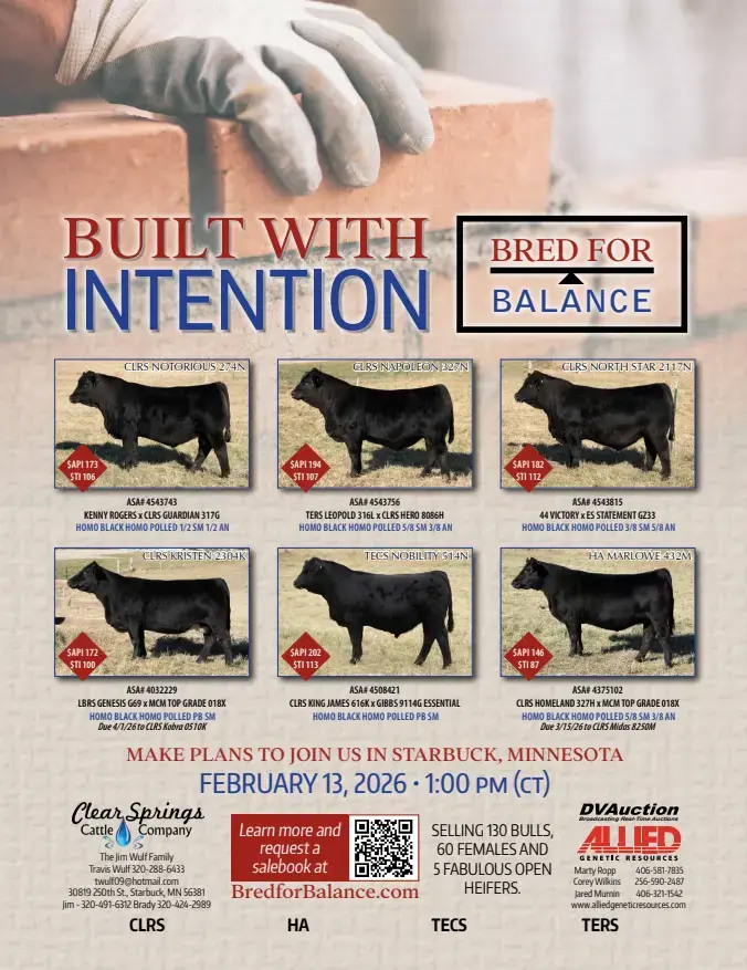 screenshot-2025-12-17-160955-png-2