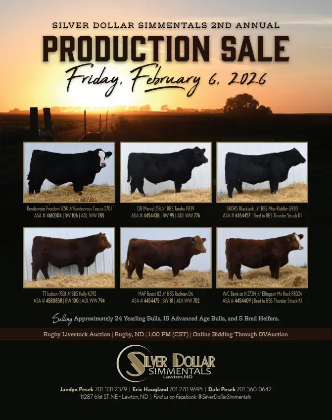 screenshot-2025-12-19-151326-png-2