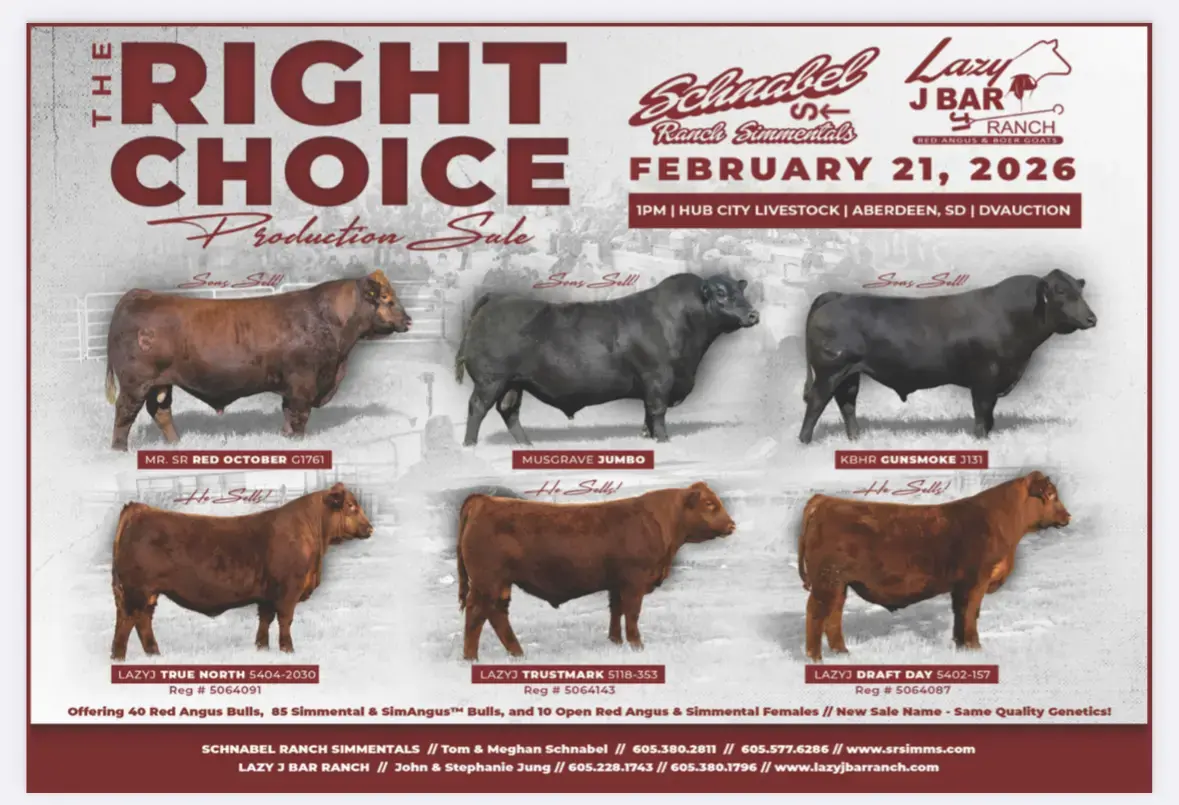 screenshot-2026-01-08-at-9-29-20-am-png-2