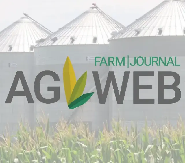 352292978_646919060235912_5697579499128130124_n-png